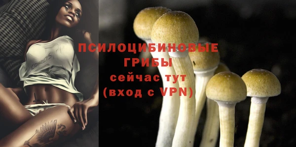 mix Богданович