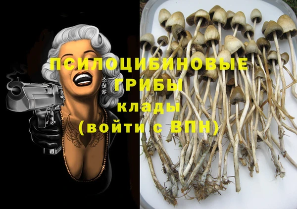 MDMA Богородицк