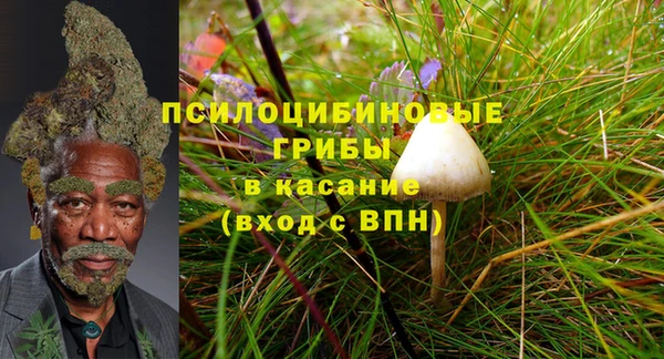 ALPHA PVP Богородск