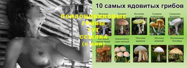 СК Бронницы