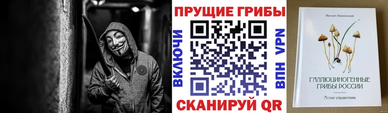 Псилоцибиновые грибы Cubensis  Кодинск 