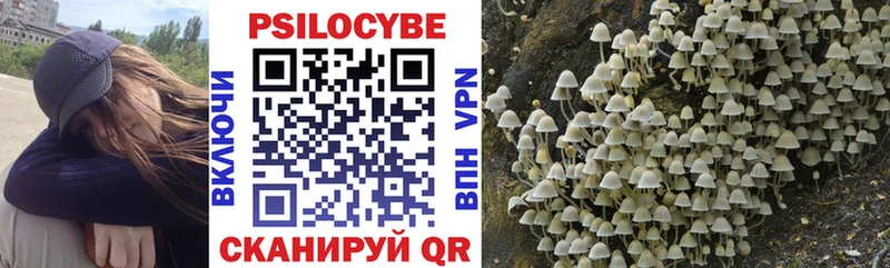 Галлюциногенные грибы прущие грибы Кодинск